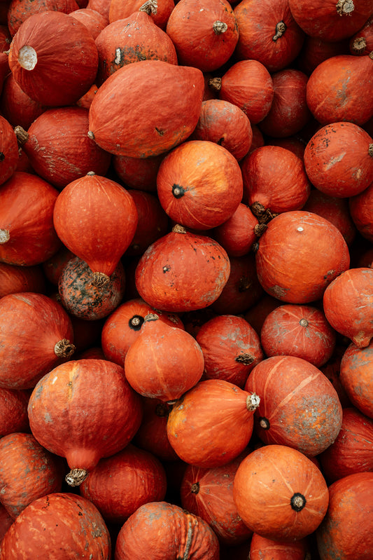 🎃 Don’t Get Spooked by Pumpkin Mess