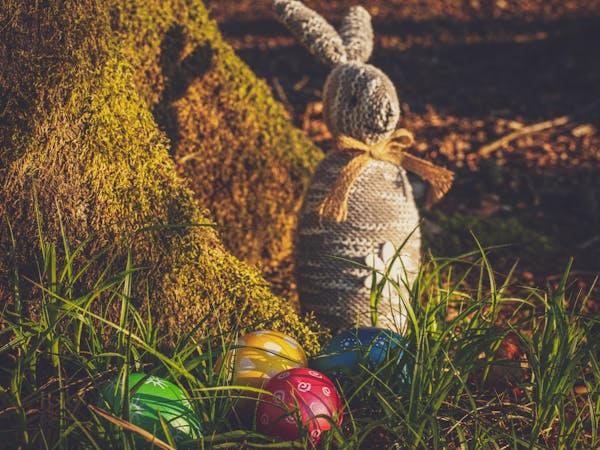 5 Reasons Why the Easter Bunny Chooses Our Premium White Sheeting for Post-Easter Cleanup